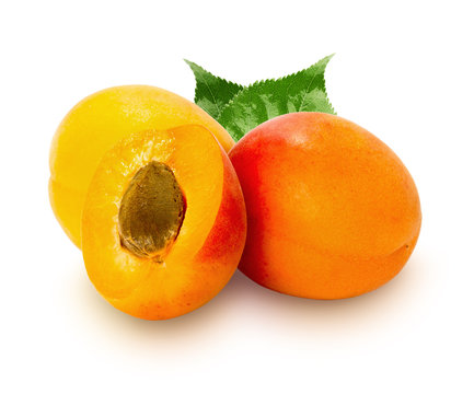 ripe apricots isolated on the white background