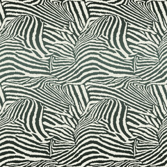 Animal Zebra Seamless Background