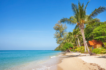 Obraz na płótnie Canvas Exotic tropical beach.