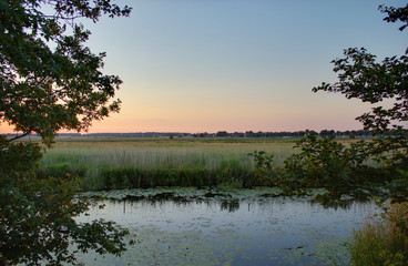 View on the Ryck near Greifswald, Mecklenburg-Vorpommern, Germany, with reed at the water edge, lotus, and trees. The image was created using a HDR imaging technique
