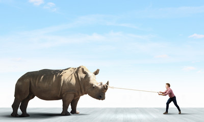 Rhino on lead