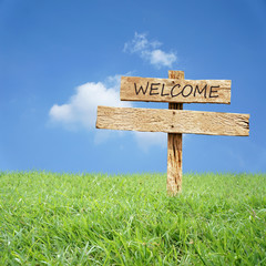 Wooden sign on grass with blue sky