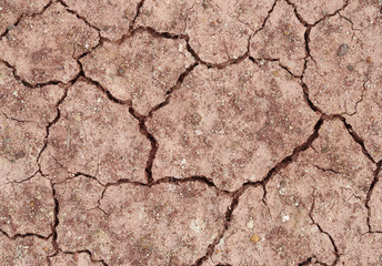 Cracked soil ground