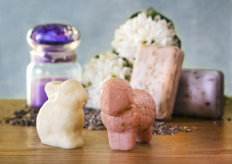 spring spa concept
