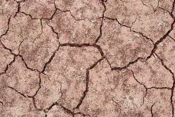 close-up of dry dracked soil ground