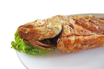 close up head of fried nile tilapia fish