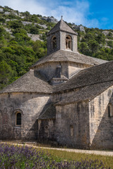 Fototapeta na wymiar Abbaye de Sénanque