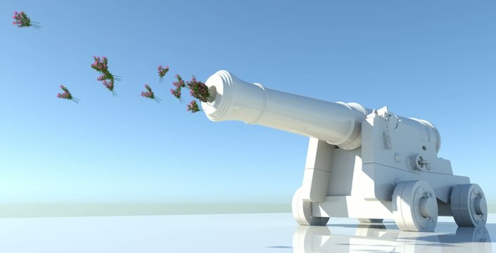 Cannone spara fiori 2