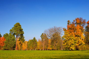 Sunny autumn day