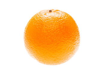 Orange on a white background.