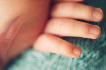 Small delicate little hand of newborn