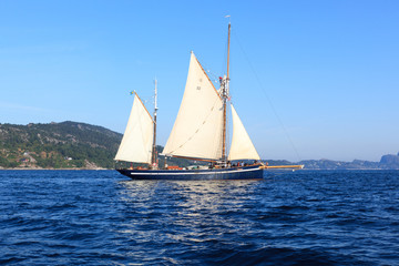 Tall Ship Races Bergen