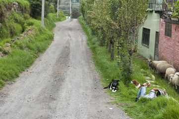 Obraz na płótnie Canvas A roadway near a farm in Peru on a cloudy day.