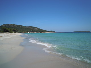 Fototapeta premium Plage de Palombaggia en Corse