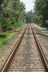 Fototapeta premium Schienenstrang unter Palmen