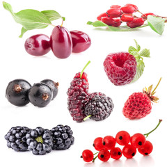 Collections of berry isolated on white background