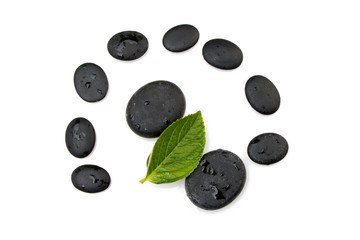 pebbles and green leaf