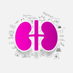 Drawing medical formulas: kidneys