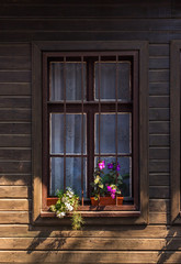 Fototapeta na wymiar window with grate and flowers