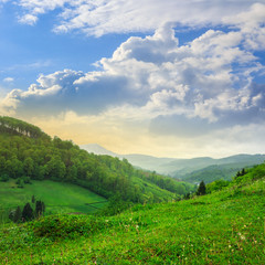 Fototapeta premium cold fog on forest in mountains