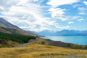 Picturesque landscape