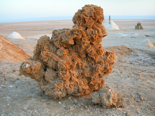 Desert rose in the Sahara, Tunisia
