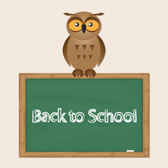funny owl with school board