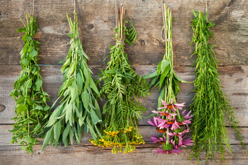 bunches of healing herbs on wooden wall