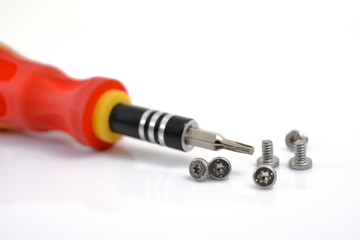 Screwdriver and Bolts