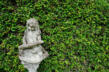 tree wall background