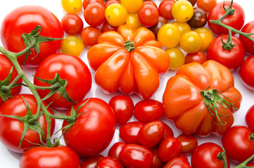 Different varieties of tomatoes