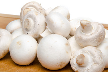 White parisian mushrooms