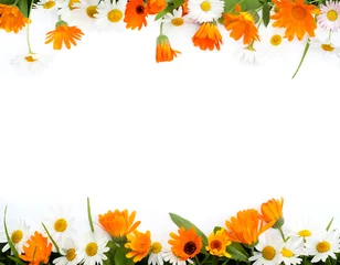 Zelfklevend Fotobehang Frame of flowers © fidaolga