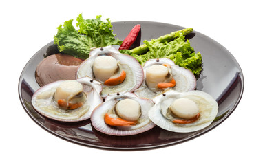 Raw fresh scallop