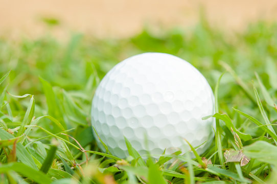 golfball on grass infront of the green