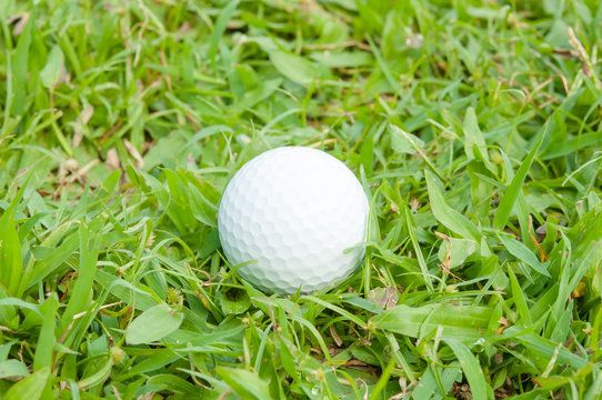 golfball on grass infront of the green