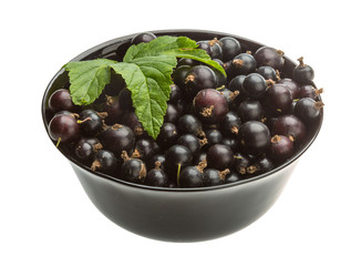 Black currant