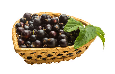 Black currant