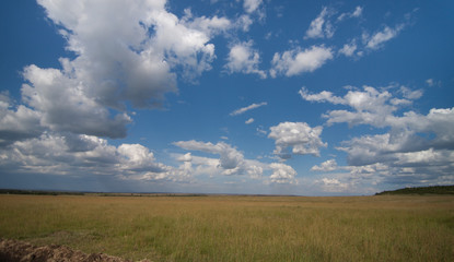 Obraz premium Africa sconfinata savana con cielo blu