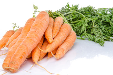 Bunch of fresh carrots
