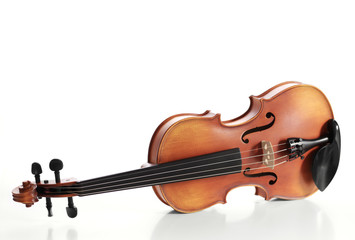 Fototapeta premium Violine