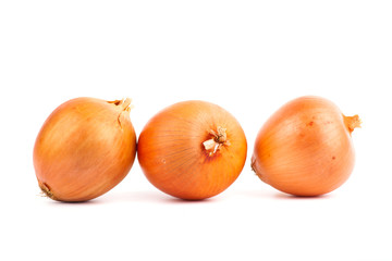 Ripe onion on a white background