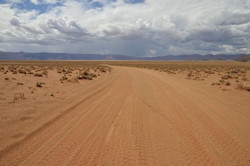 Fototapeta na wymiar Wüstenweg in der Namib