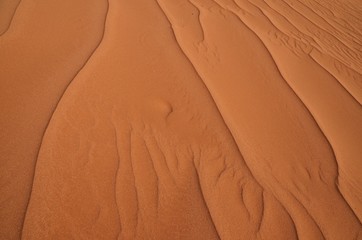 Sandrippeln in der Namib