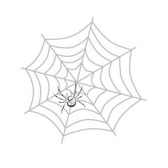 Fototapeta premium color spiderweb art