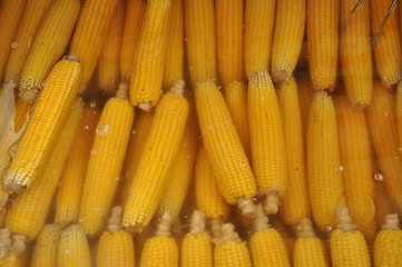 boiled corn