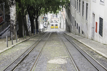 Fototapeta premium Trams transport