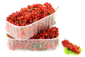 Rote Johannisbeeren isoliert auf weißem Hintergrund