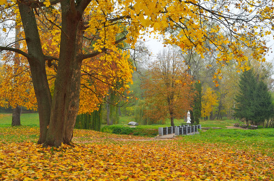 Autumn day in the park