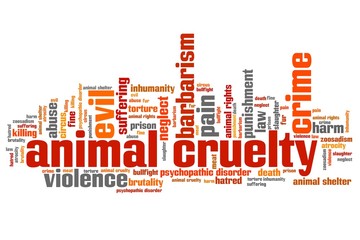 Animal violence - word cloud illustration.